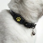 MEELANO GPS-tracker til Hunde og Katte – Let Kæledyrstracker til Alle Halsbånd, Lokalisering via App, Lang Batteritid