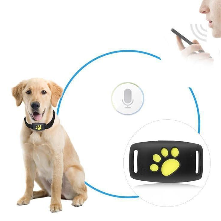 MEELANO GPS-tracker til Hunde og Katte – Let Kæledyrstracker til Alle Halsbånd, Lokalisering via App, Lang Batteritid