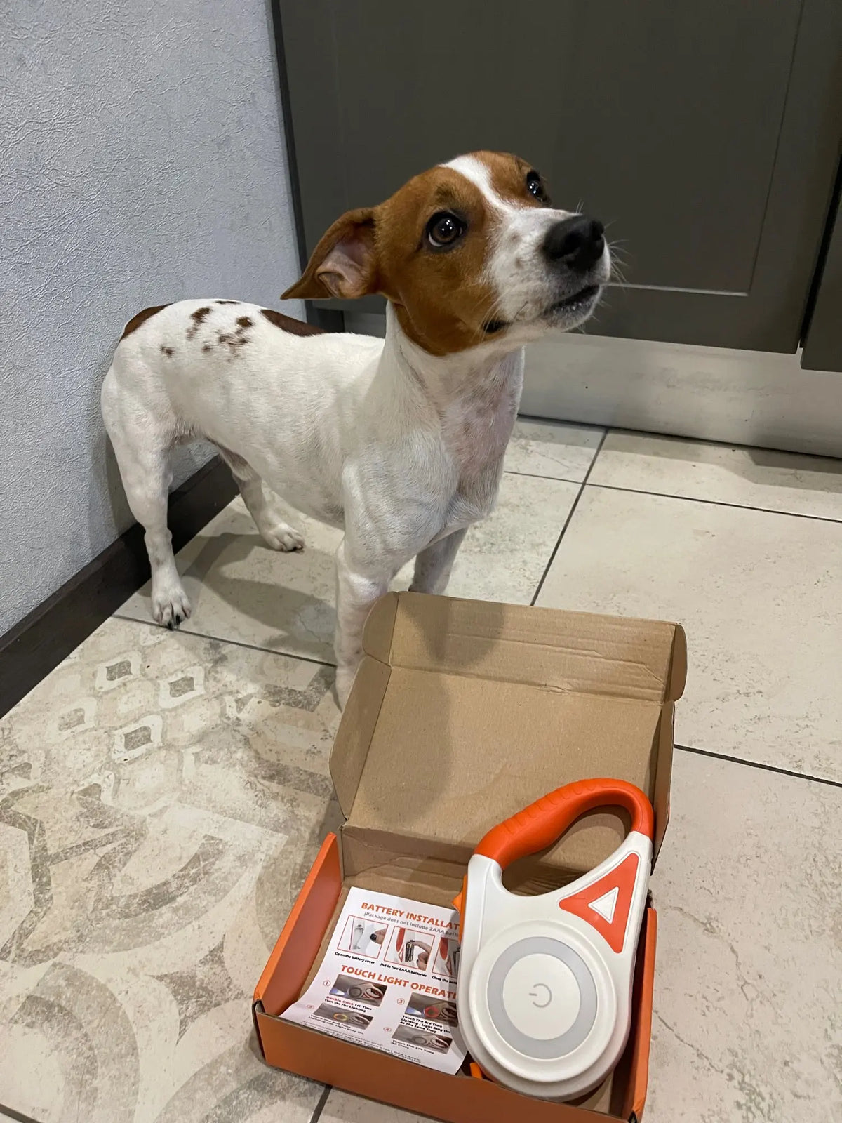 MEELANO Selvlysende Hundesnor med Lommelygte – LED Hundesnor op til 5 m, Synlig i Mørke, 3 Farver – GlowGuard