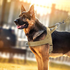 No-Pull hundesele med refleksdetaljer 0