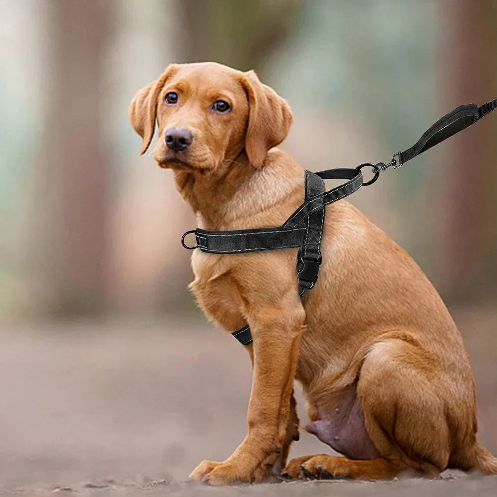 No-Pull hundesele med refleksdetaljer 5