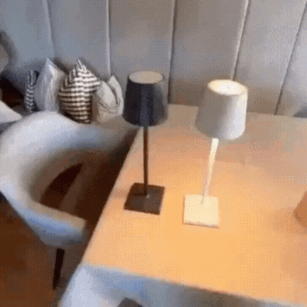 MEELANO Trådløs Bordlampe Uden Ledning Aluminium
