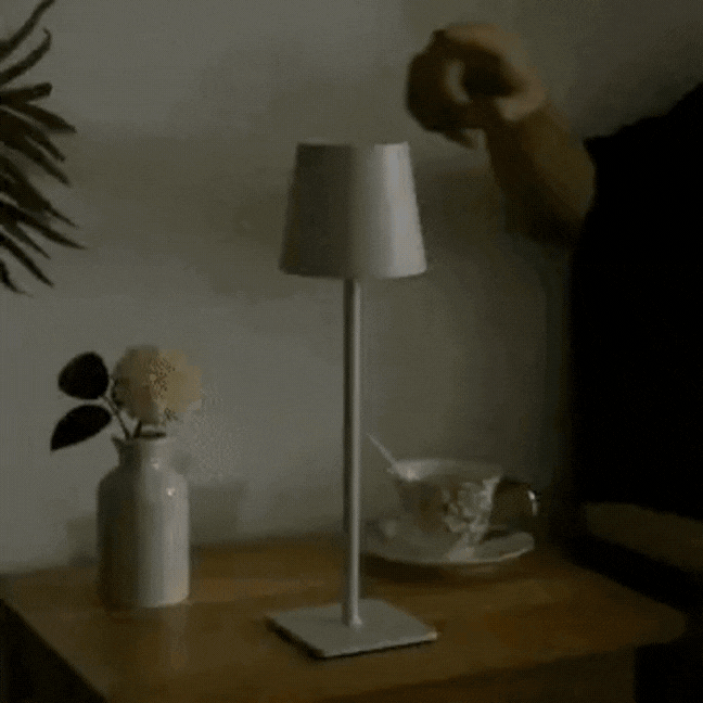 MEELANO Trådløs Bordlampe Uden Ledning Aluminium