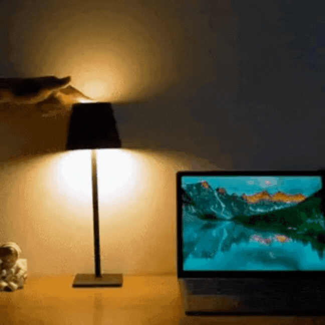 MEELANO Trådløs Bordlampe Uden Ledning Aluminium