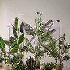 MEELANO Vækstlys Til Indendørs Planter Forvandl Din Indendørs Have Med Naturligt Sollys Default