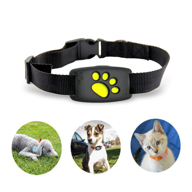 MEELANO GPS Tracker Halsbånd Til Hunde Og Katte Real Time Tracking
