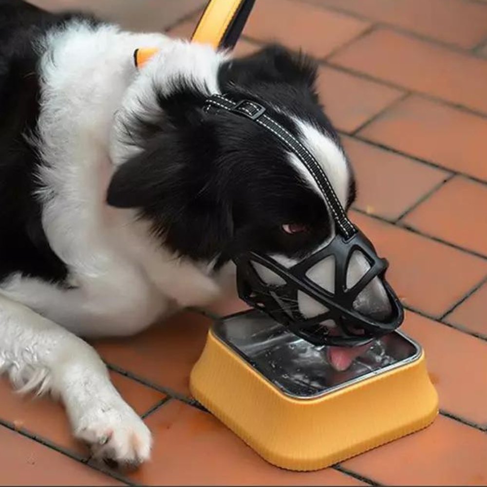 MEELANO Hundemundkurv i Blød Åndbar Mesh – Justerbar Mundkurv mod Bid og Tygning – til Gåture, Træning & Dyrlæge, S–XL